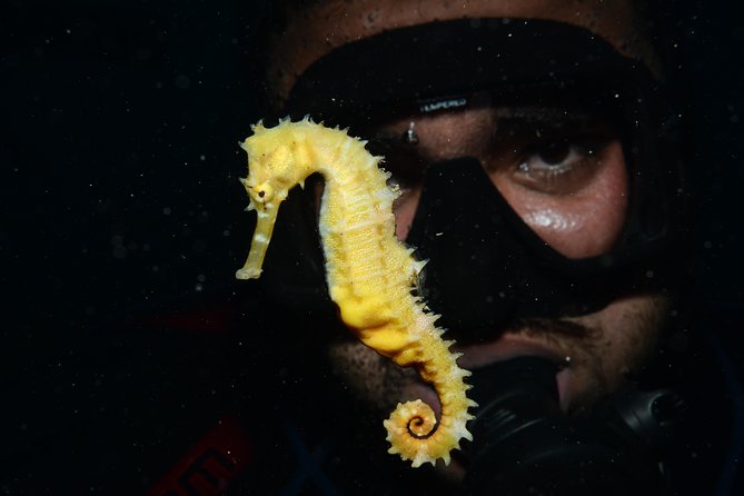 Shore Certified Night Diving - One Dive - Required Equipment