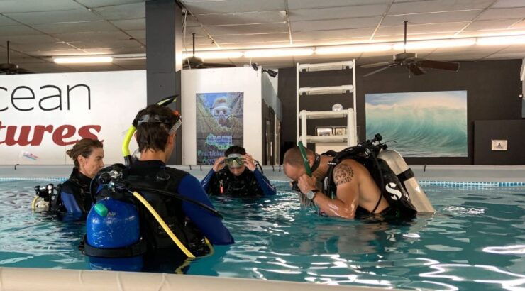 Shore Discover Scuba Diving Experience - Activity Details