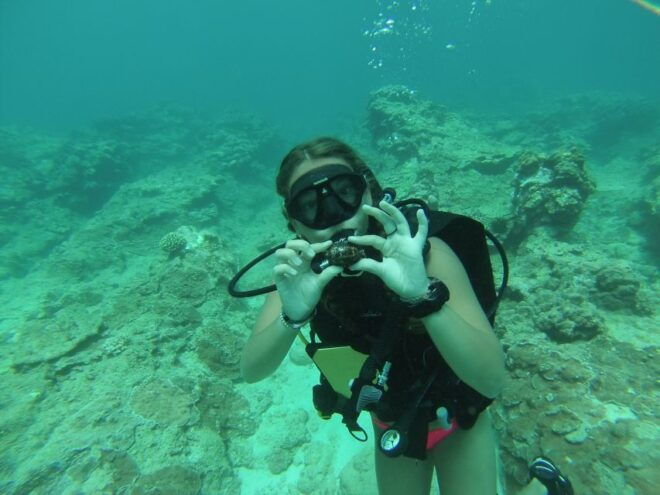 Shore Discover Scuba Diving Experience - Highlights