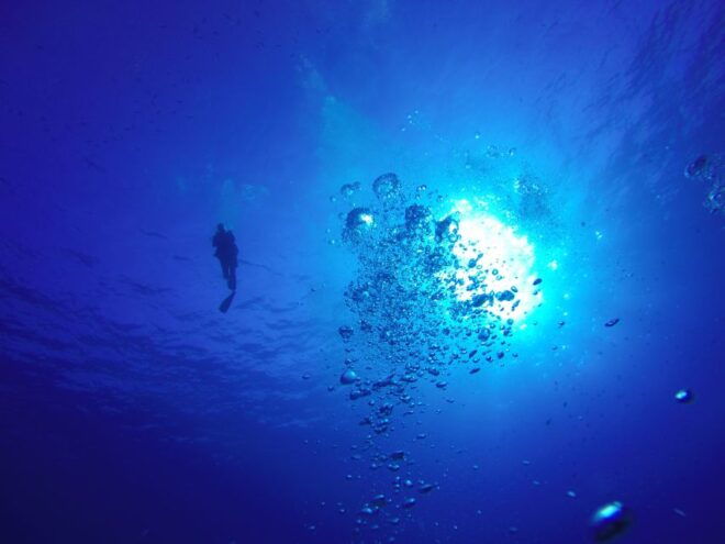 Shore Discover Scuba Diving Experience - Important Information