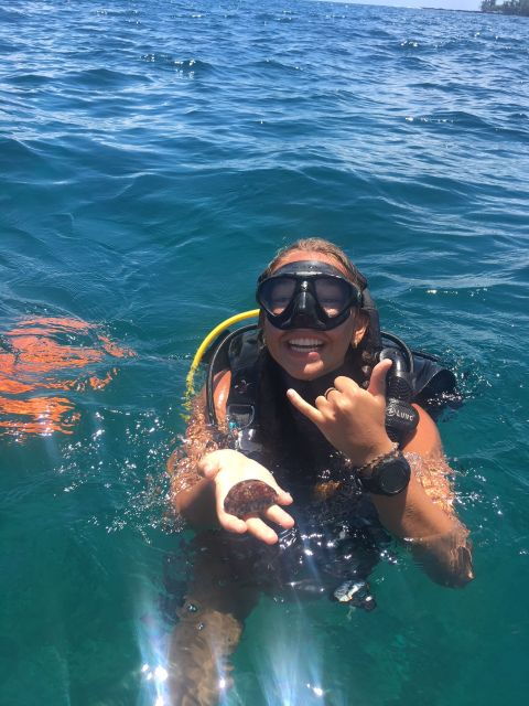 Shore Discover Scuba Diving Experience - Booking and Details