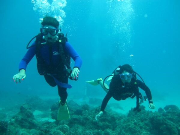 Shore Discover Scuba Diving Experience - Small Group Experience