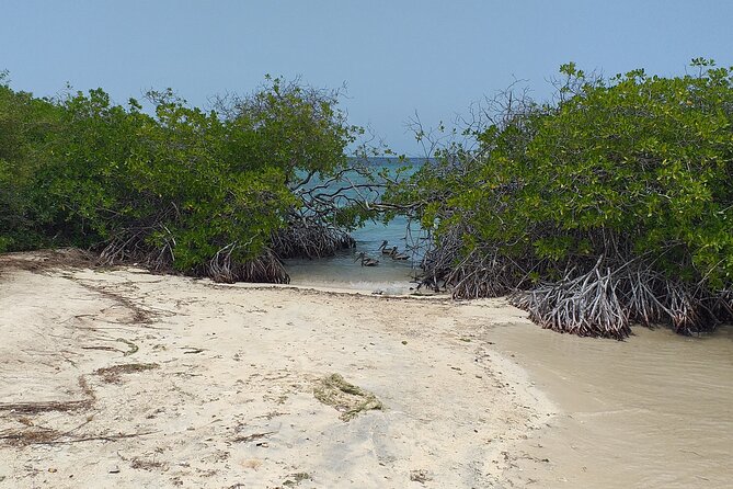 Shore Dive Aruba for Certified Divers - Safety Guidelines