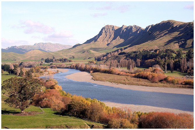 Shore Excursion: 4-Hour Discover Hawkes Bay and Napier Tour - Negative Feedback