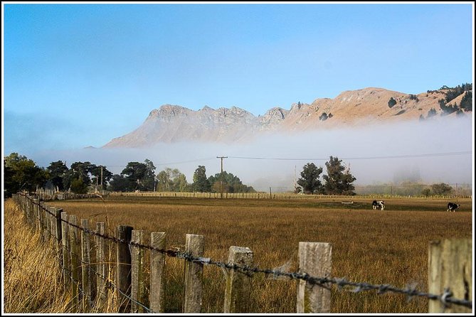 Shore Excursion: 4 Hour Premium Hawkes Bay and Napier Tour - Common Questions