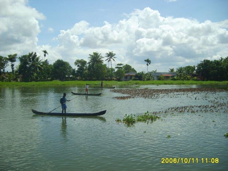 Shore Excursion; Alappuzha Backwater Cruise in Houseboat. - Highlights and Experience