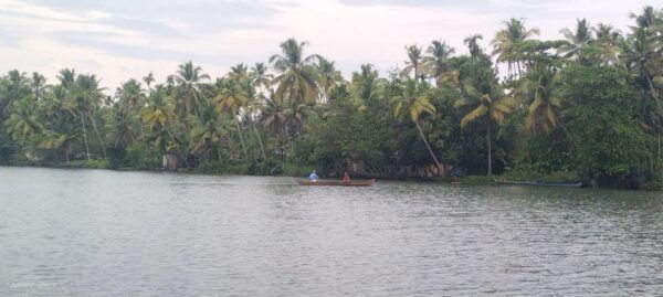 Shore Excursion; Alappuzha Backwater Cruise in Houseboat. - Scenic Views
