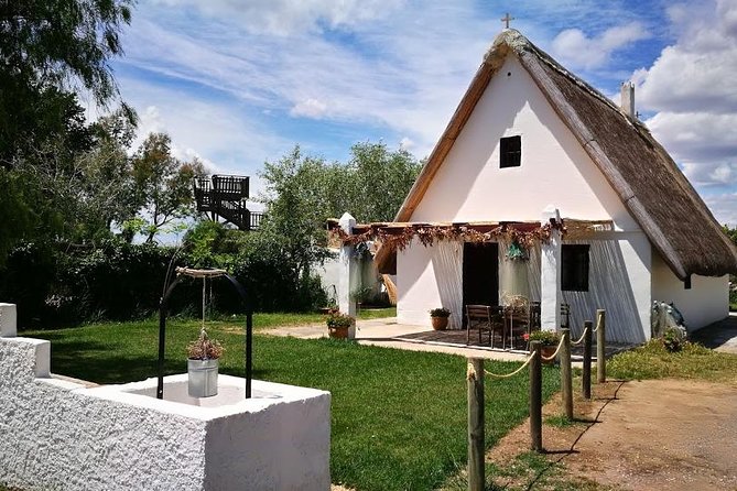 Shore Excursion: Albufera Natural Park Private Tour From Valencia With Transport - Transportation Details