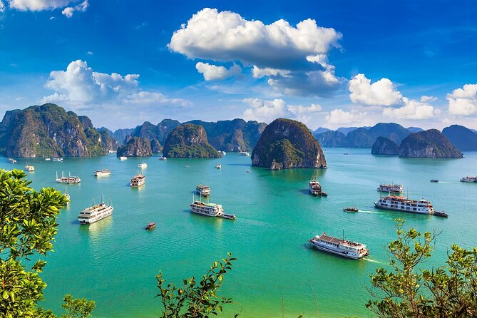 Shore Excursion: Amazing Day Cruise at Ha Long Bay - Cancellation Policy