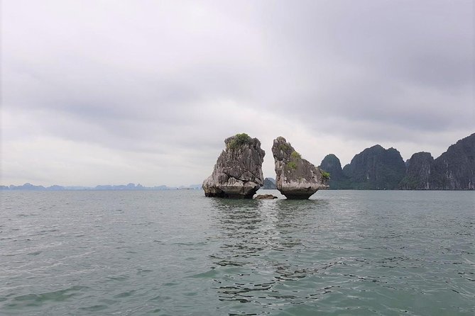 Shore Excursion: Amazing Day Cruise at Ha Long Bay - The Sum Up