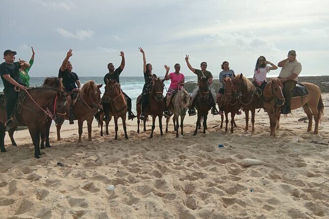 Shore Excursion Arubas Ecological and Beach Horseback Riding - Good To Know  