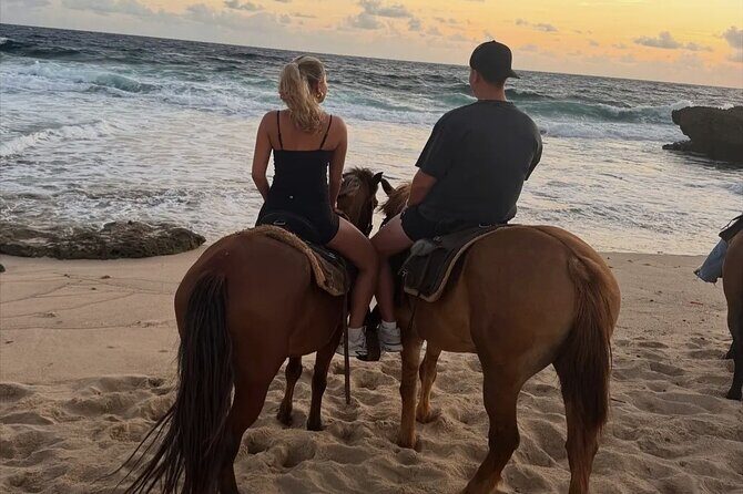 Shore Excursion Arubas Ecological and Beach Horseback Riding - Overview of the Experience