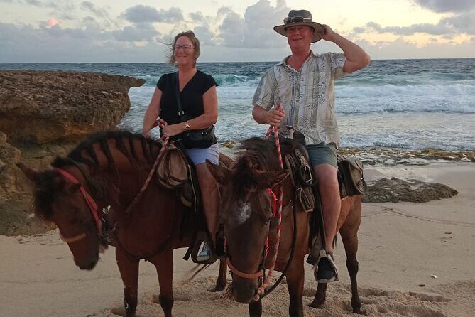 Shore Excursion Arubas Ecological and Beach Horseback Riding - Practical Details and Logistics