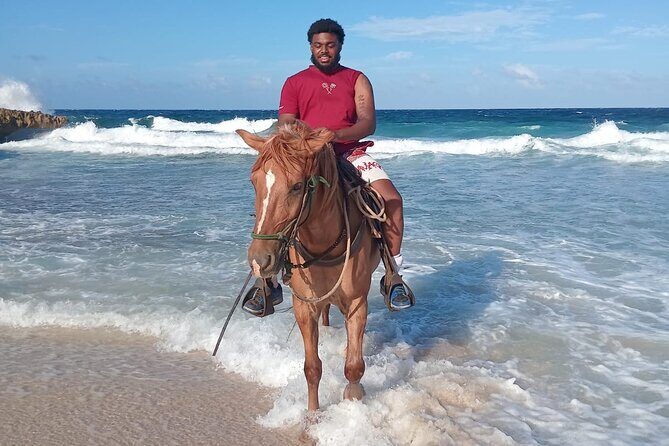 Shore Excursion Arubas Ecological and Beach Horseback Riding - The Experience’s Highlights According to Reviews