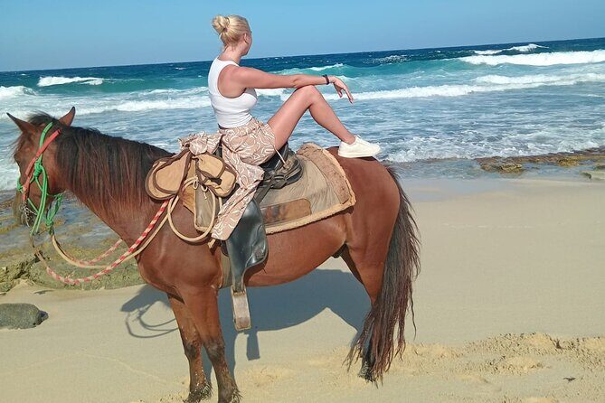 Shore Excursion Arubas Ecological and Beach Horseback Riding - The Sum Up