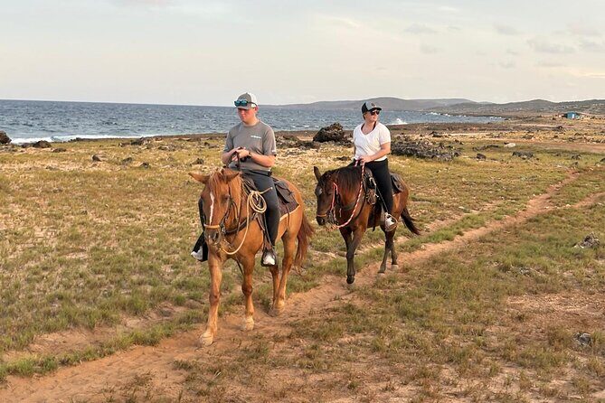 Shore Excursion Arubas Ecological and Beach Horseback Riding - FAQ
