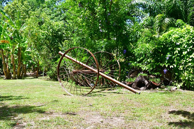 Shore Excursion: Best of Roatan With Snorkel - Customization Options