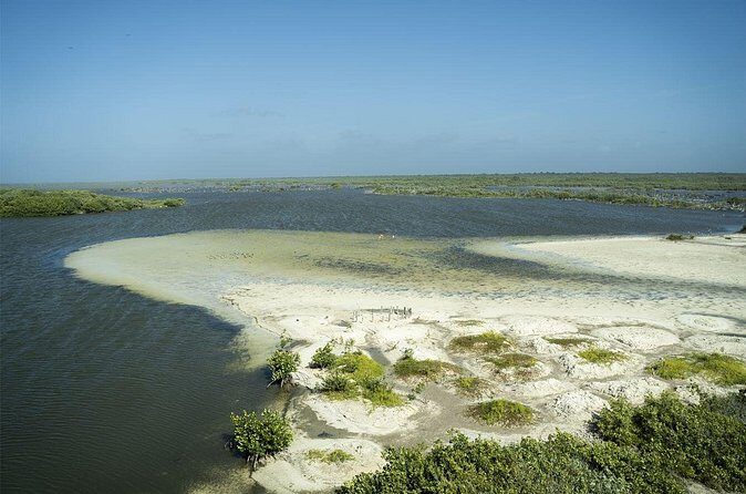 Shore Excursion: Buggy Tour, Punta Sur Park & Beach Relaxation - Lunch and Free Time for Beach Relaxation