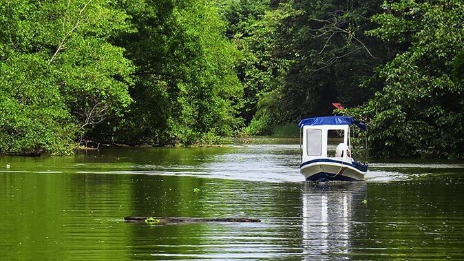 Shore Excursion: Caribbean Highlights Tour From Limon - Tour Itinerary