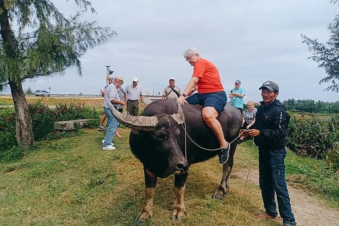 Shore Excursion: CHAN MAY or TIEN SA: Marble Moutain-Basket Boat- Hoi An-Farming - Tasting Local Delicacies