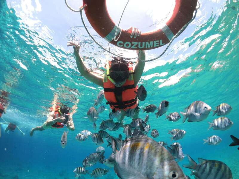 Shore Excursion: Clear Boat Tour with Snorkel & Drinks - Good To Know