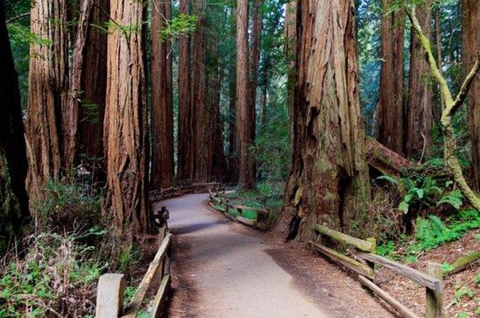 Shore Excursion: Coastal Redwoods and San Francisco Hop-On Hop-Off Tour - Tour Details