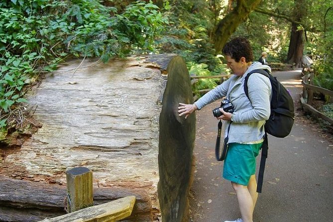 Shore Excursion: Coastal Redwoods of Muir Woods National Monument Half-Day Tour - Reasons to Choose This Tour