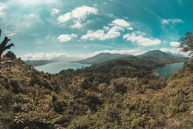 Shore Excursion Cruise Ship From Celukan Bawang Port - Who Will Enjoy This Tour?