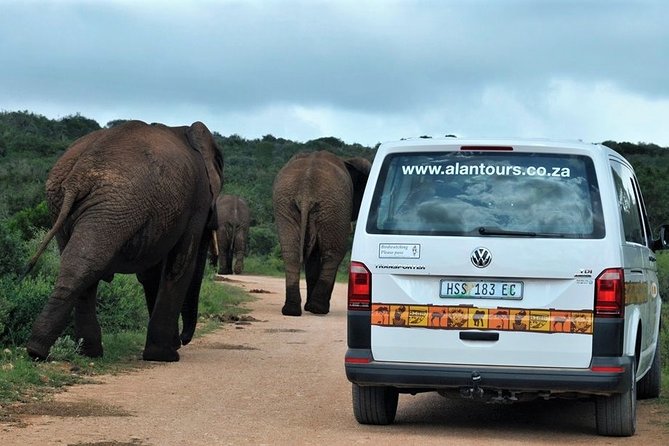 Shore Excursion Cruise Ships Port Elizabeth, Addo Elephant Park - Common Questions