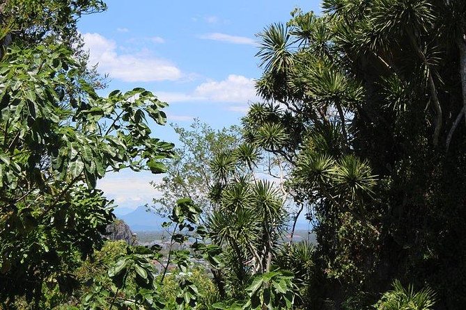 Shore Excursion: DA NANG CITY TOUR From TIEN SA PORT - Directions to Tien Sa Port