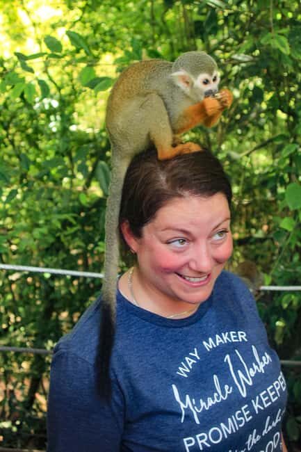 Shore Excursion Damajagua Waterfalls and Monkey Encounters - Discovering the Damajagua Waterfalls