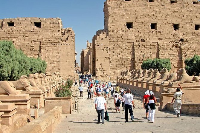 Shore Excursion: Day Tour to Luxor From Safaga Port - Good To Know