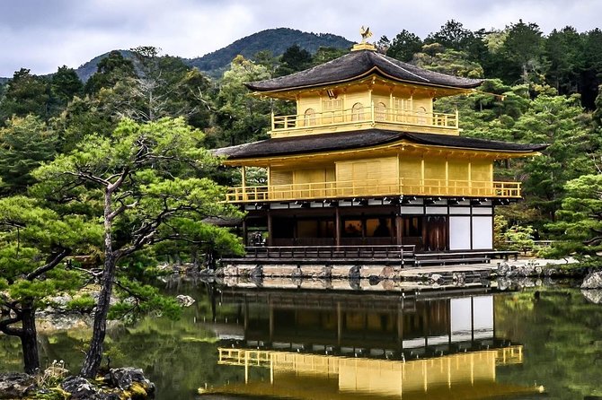 Shore Excursion: Day Trip To Kyoto From Osaka Port - Dining Options and Local Cuisine in Kyoto