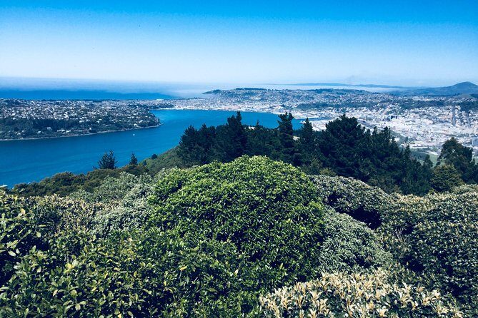 Shore Excursion: Dunedin City, Otago Peninsula, Castle Gardens & Olveston Tour - Is This Tour Worth The Price?
