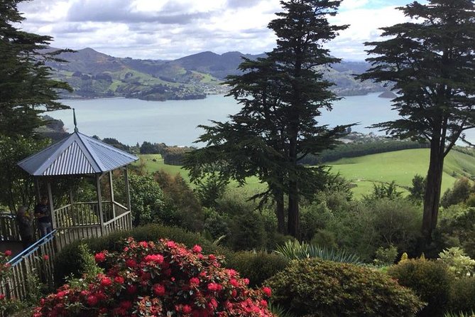 Shore Excursion: Dunedin City, Otago Peninsula, Castle Gardens & Olveston Tour - Tour Overview