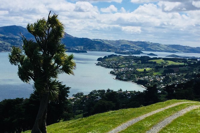 Shore Excursion: Dunedin City, Otago Peninsula, Castle Gardens & Olveston Tour - Cancellation Policy