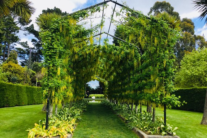 Shore Excursion: Dunedin City, Otago Peninsula, Castle Gardens & Olveston Tour - Reviews