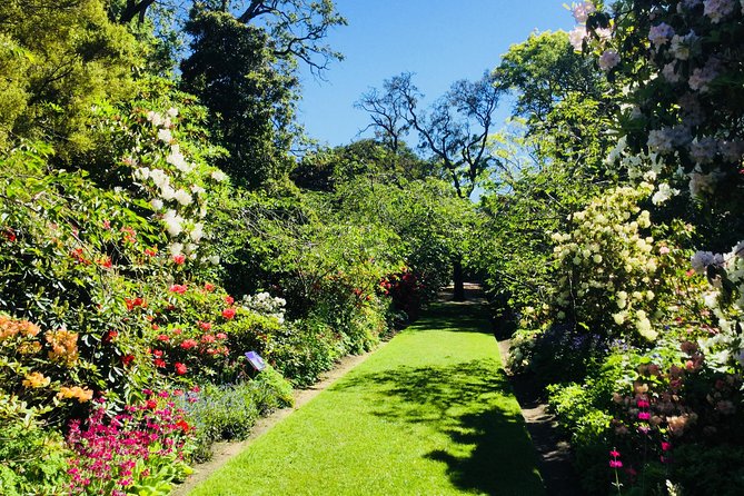 Shore Excursion: Dunedin City, Otago Peninsula, Castle Gardens & Olveston Tour - Breathtaking Scenery on Scenic Routes