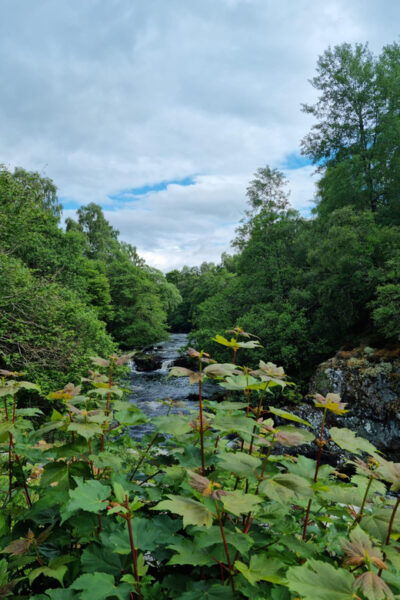 Shore Excursion From Invergordon - Castles, Scenery & Whisky - Frequently Asked Questions