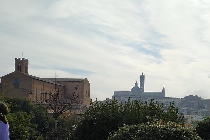 Shore Excursion From Livorno to Siena and San Gimignano by Private Minivan - Pricing and Booking Details