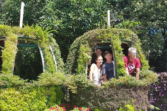 Shore Excursion From TIEN SA or CHAN MAY Port : GOLDEN BRIDGE & MY SON SANCTUARY - The Sum Up