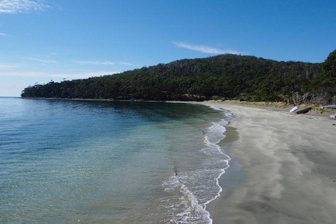 SHORE EXCURSION - Full-Day Guided Bruny Island Tour From Hobart - Travel to Bruny Island