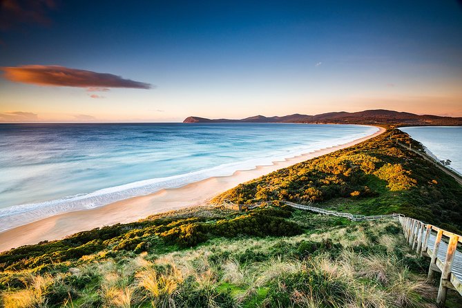 SHORE EXCURSION - Full-Day Guided Bruny Island Tour From Hobart - Coastal Scenery and Wildlife