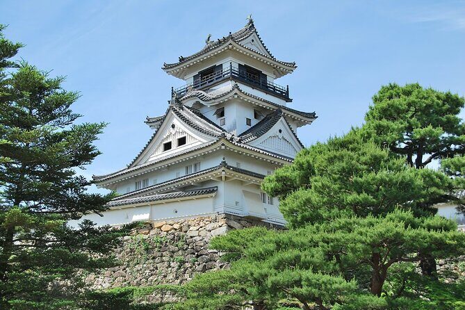 Shore Excursion Full Day Private Kochi Tour from Kochi port - Why Choose This Kochi Private Tour?