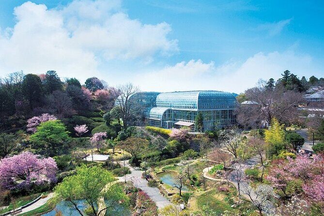 Shore Excursion Full Day Private Kochi Tour from Kochi port - Authentic Insights from Past Travelers