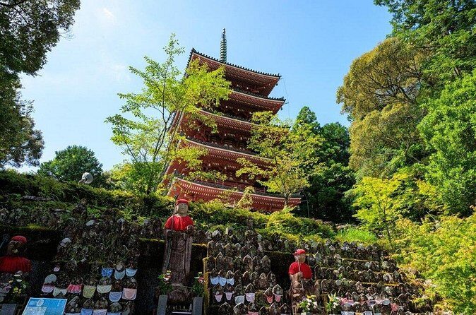 Shore Excursion Full Day Private Kochi Tour from Kochi port - FAQ