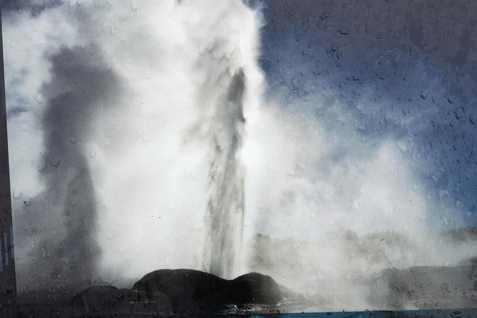 Shore Excursion: Geothermal Rotorua With Maori Cultural Performance at Whakarewarewa - General Information and Pricing