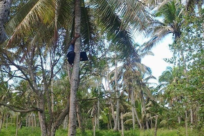 Shore Excursion: Half-Day Anahulu Cave and Cultural Tour - Authenticity & Cultural Significance