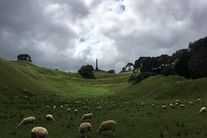 Shore Excursion: Half-Day Auckland Volcanoes Tour - Tour Details