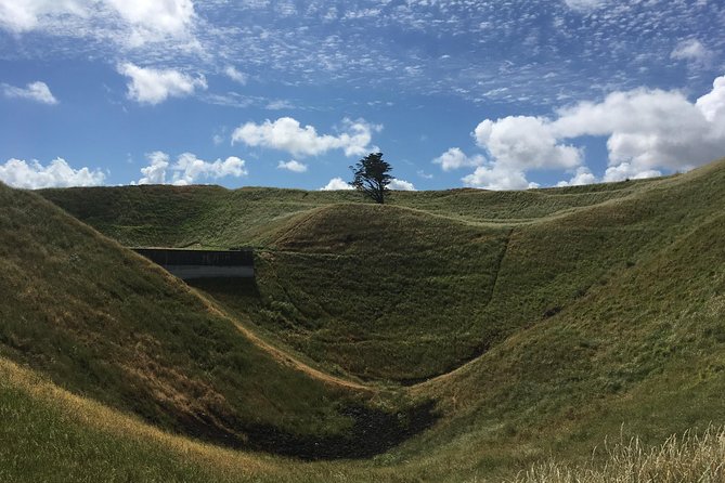 Shore Excursion: Half-Day Auckland Volcanoes Tour - Pickup and Logistics